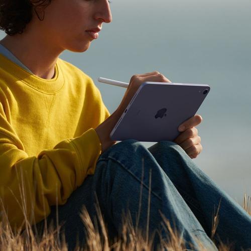 iPad mini 6 : la petite et puissante tablette d'Apple coûte 215 € de moins