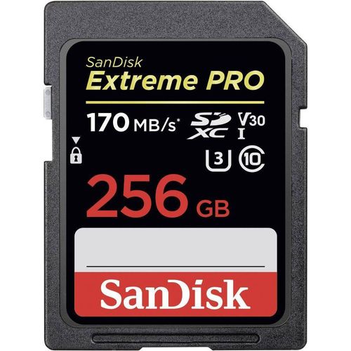 SanDisk Extreme Pro - Carte mémoire flash - 256 Go - Video Class V30 / UHS-I U3 / Class10 - SDXC UHS-I