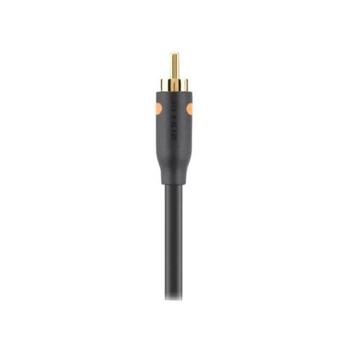 Belkin Essential Series Digital Coaxial Cable - Câble audio numérique (coaxial) - RCA mâle pour RCA mâle - 1 m