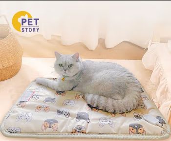 Couverture Électrique Pour Animaux De Compagnie Chat Chauffage D'hiver Température Constante Tapis De Litière Chat Chauffage Réglable Couverture Chauffante Chiot Chien