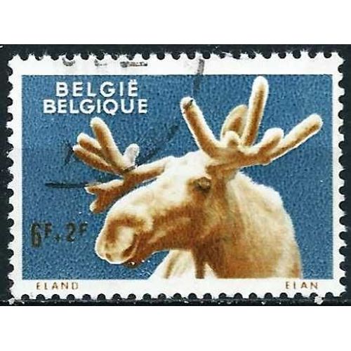 Belgique 1961, Beau Timbre Yvert 1187, Au Profit D'oeuvres Philanthropiques, Animaux Du Zoo D'anvers, L'elan, Oblitéré, Tbe -
