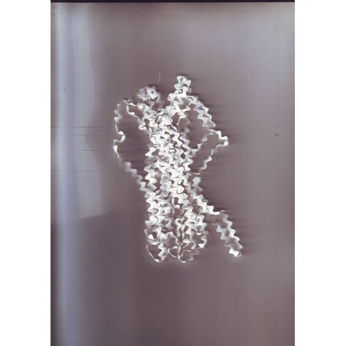 Cordon Garniture Galon - Ou Pour Ourlets - Couture Interieure - - Zig Zag Blanc