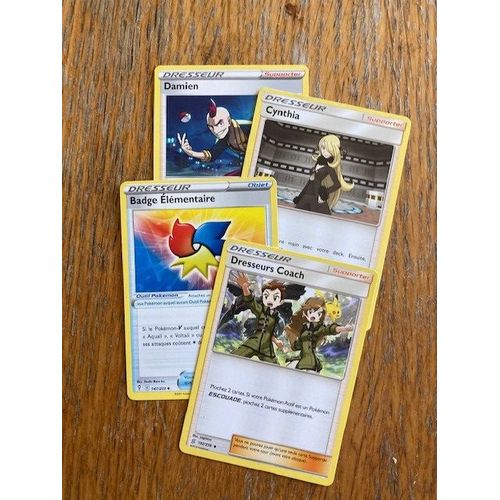 (2468) Dresseurs Coach + Badge Élémentaire + Cynthia + Damien (Pokemon)