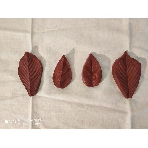 Moules En Silicone De Feuilles