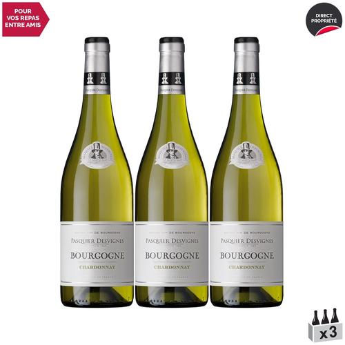 Domaine Pasquier-Desvignes Bourgogne Chardonnay Blanc 2020 X3