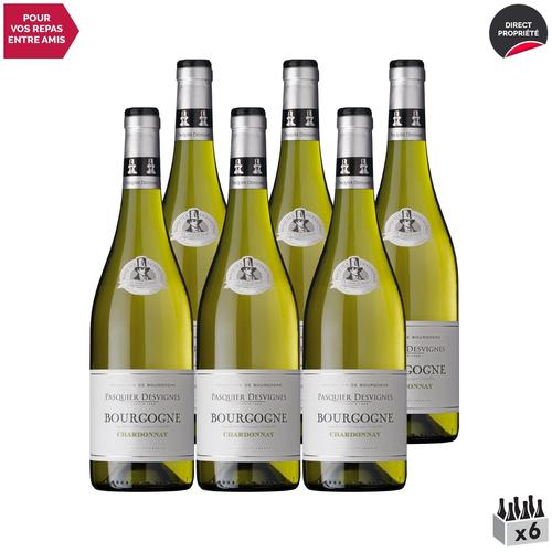 Domaine Pasquier-Desvignes Bourgogne Chardonnay Blanc 2020 X6