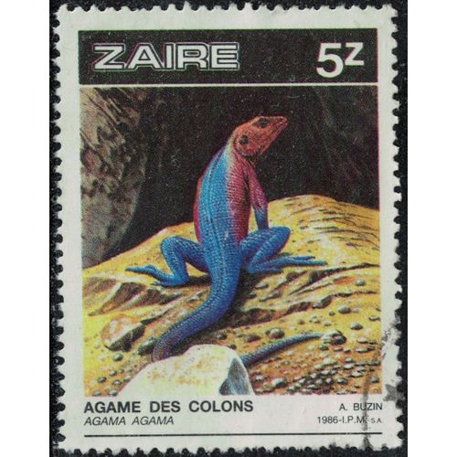 Zaïre 1987 Oblitéré Used Reptile Saurien Agama Agama Agame Des Colons Y&t Cd 1239 Su