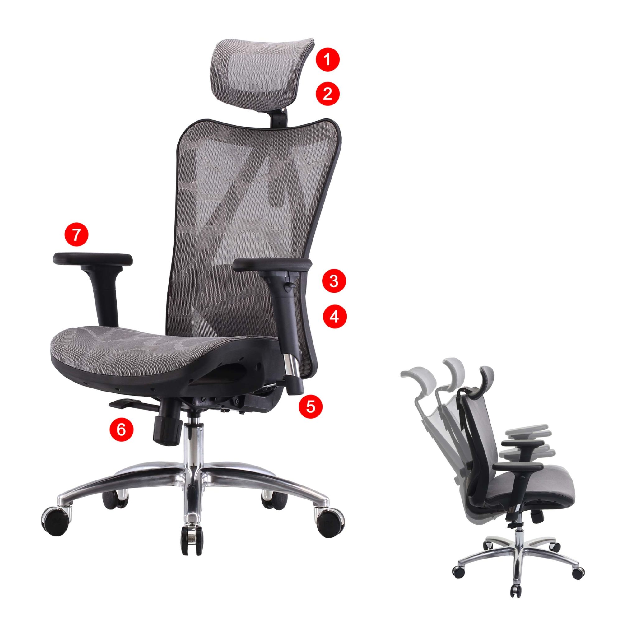 Sihoo Chaise De Bureau Ergonomique, Accoudoirs Réglables, Charge Ma...