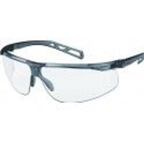 Lunette protection monobloc polycarbonate l?g?re anti rayures bu?e DELTA PLUS