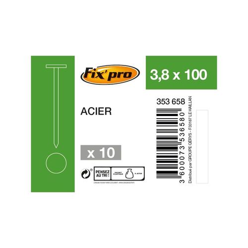 POINTE ACIER TP 3,8X100 /10