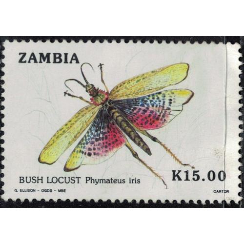 Zambie 1989 Oblitéré Used Insecte Phymateus Iris Y&t Zm 476 Su