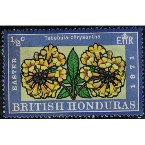 Honduras Britannique 1971 Oblitéré Used Plante Fleurs Tabebuia Chrysantha Handroanthus Chrysanthus Y&t Gb-Bz 266 Su