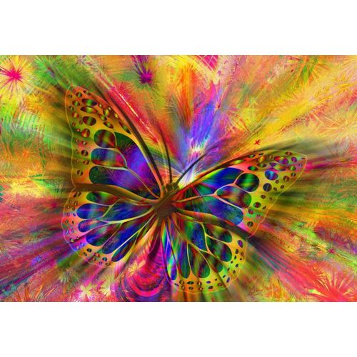 Colorful Butterfly - Puzzle 1000 Pièces