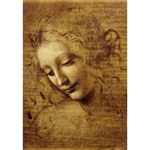 Léonard De Vinci : Visage De Giovane Fanciulla, 1508 - Puzzle 12 Pièces