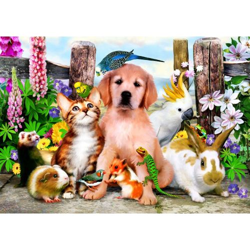 Good Companions - Puzzle 500 Pièces