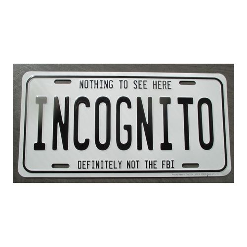 Plaque D'immatriculation Incognito Nothing To See Tole Usa En Relief