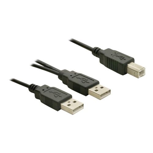 Delock - Câble USB - USB type B (M) pour USB (M) - USB 2.0 - 1 m