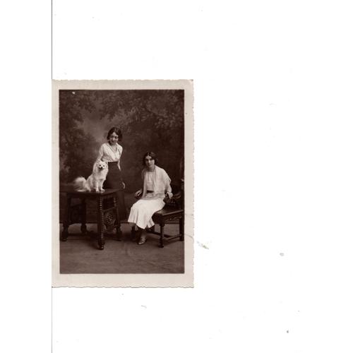 Photographie Ancienne Jeunes Filles Avec Leur Chien