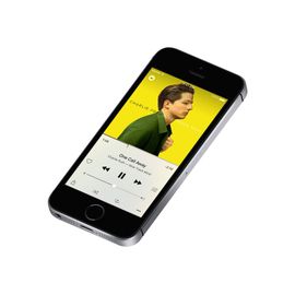 Apple iPhone SE 16 Go Gris