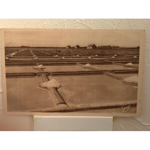 Carte Postale Carnac Plage Les Salines Avec Timbre 8 F Bleu 1950