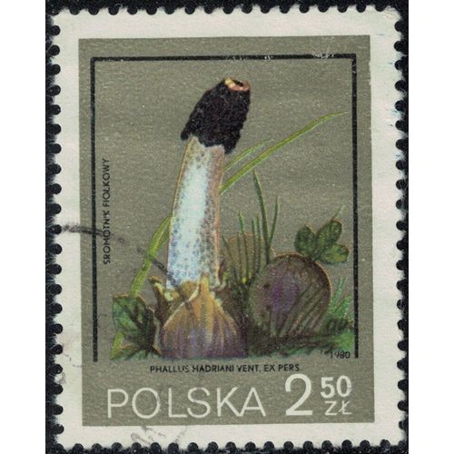 Pologne 1980 Oblitéré Used Champignon Phallus Hadriani Y&t Pl 2513 Su