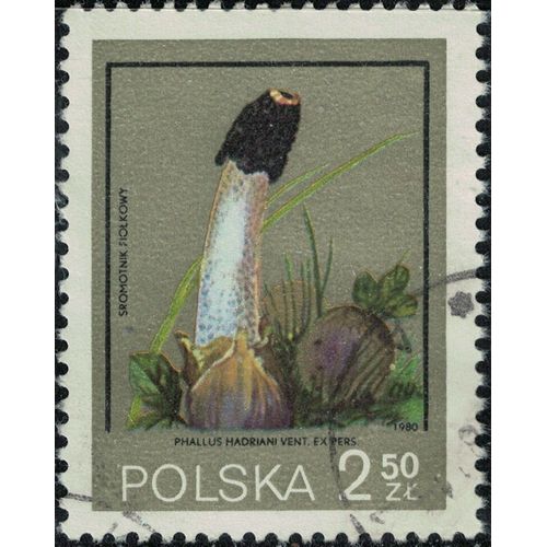 Pologne 1980 Oblitéré Used Champignon Phallus Hadriani Y&t Pl 2513 Su