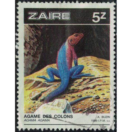 Zaïre 1987 Oblitéré Used Reptile Saurien Agama Agama Agame Des Colons Y&t Cd 1239 Su