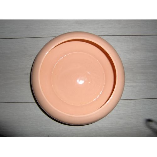 Pot pourri couleur saumon