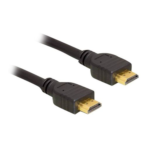 Delock - Câble HDMI - HDMI mâle pour HDMI mâle - 5 m