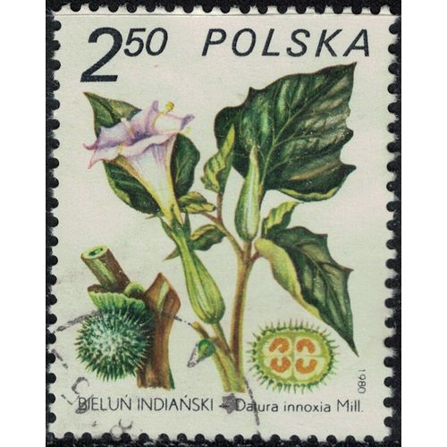 Pologne 1980 Oblitéré Used Plante Datura Innoxia Y&t Pl 2524 Su