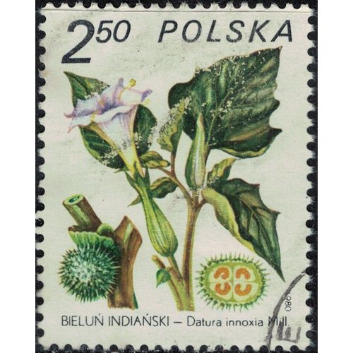 Pologne 1980 Oblitéré Used Plante Datura Innoxia Y&t Pl 2524 Su