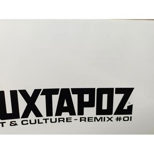 □経典ブランド□ JAXTAPOZ ART&CULTURE REMIX#01 希少 lagoa.pb.gov.br