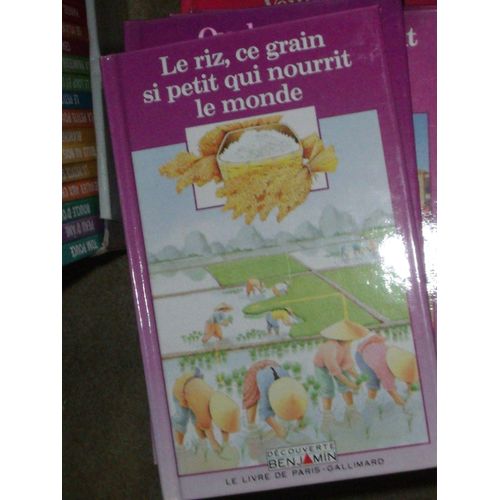 Le Riz Ce Grain Si Petit Qui Nourrit Le Monde Découverte Benjamin