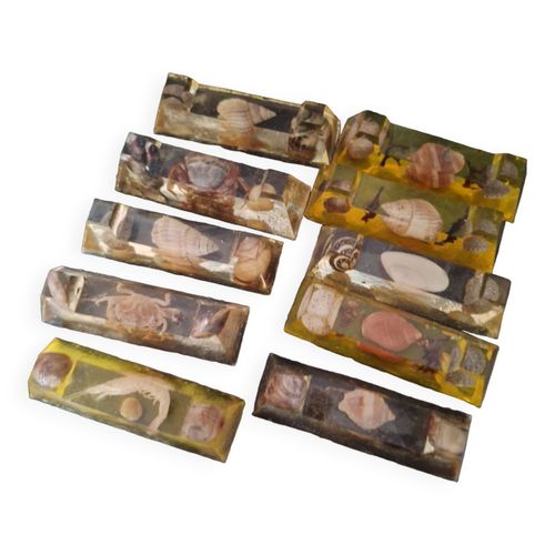 Porte Couteau Rsine Et Coquillages Dore
