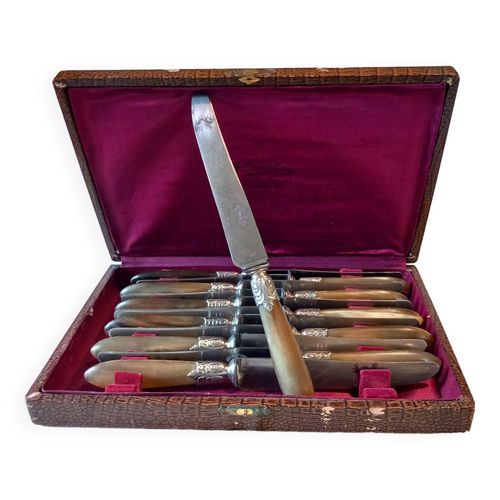 Coffret 12 Couteaux Anciens Acier Fondu Marron