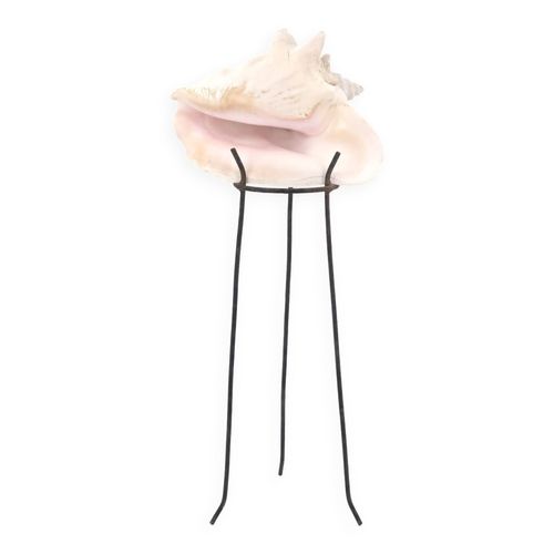 Coquillage sur socle tripode en mtal annes 50 beige