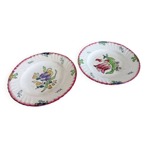 2 Assiettes Longwy  Multicolore
