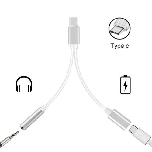 Double Adaptateur Cable Diviseur Type C Prise Jack 3.5mm Chargeur Usb-C Argent Pour Téléphone Smartphone - Visiodirect -