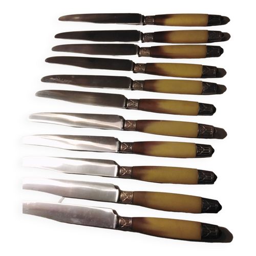 11 Couteaux Anciens Dans Leur Coffret  Vritable Brossard Beige