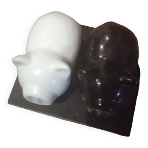 Saliere Poivrier Multicolore