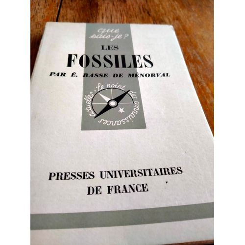 Fossiles Par E Basse De Menorval