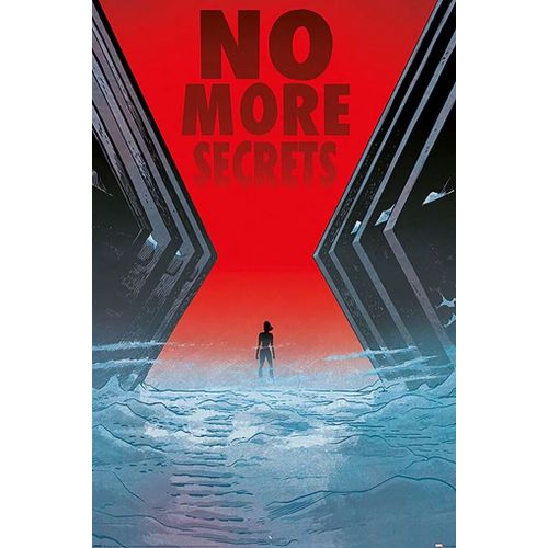 Black Widow - No More Secrets - 61x91,5cm - Affiche / Poster - Envoi Roulé
