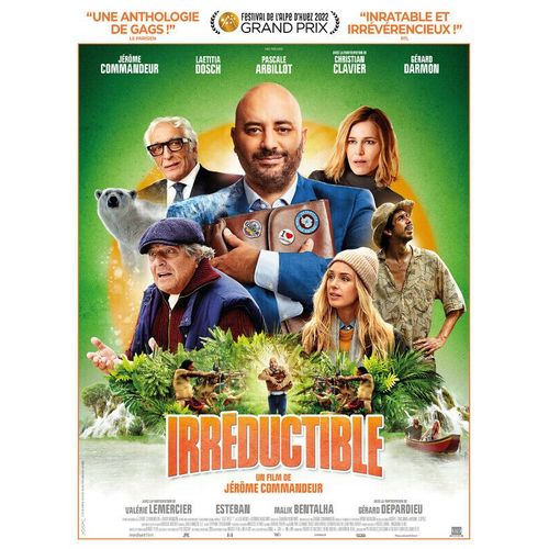 Irréductible - 2022 - Jérome Commandeur - 120x160cm - Affiche / Poster - Envoi Roulé