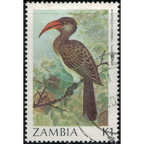 Zambie 1987 Oblitéré Used Oiseau Tockus Bradfieldi Calao De Bradfield Y&t Zm 378 Su