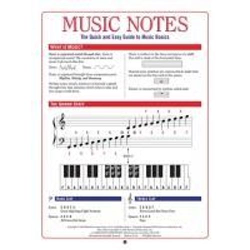 Music Notes - The Quick & Easy Guide To Music Basics