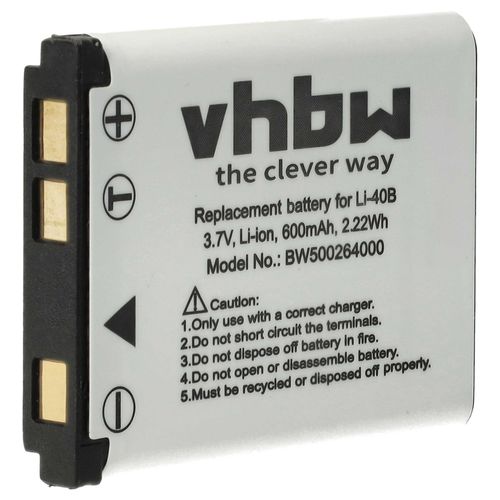 vhbw Batterie compatible avec BenQ E1030, E1230, AE220, E1250, AE250, E1035, AE200, AE210, AE110, AE115, AE100 appareil photo (500mAh, 3,6V, Li-ion)