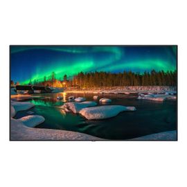 NEC MultiSync C981Q - Classe de diagonale 98" écran LCD rétro-éclairé par LED - signalisation numérique - 4K UHD (2160p) 3840 x 2160 - HDR - LED à éclairage direct