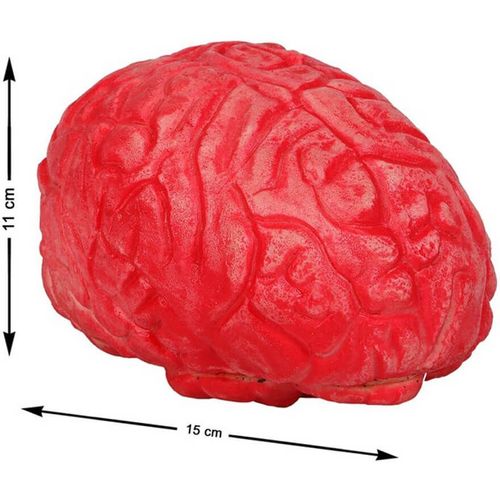 Cerveau Sangant Pour Décoration De 15x11 Cm