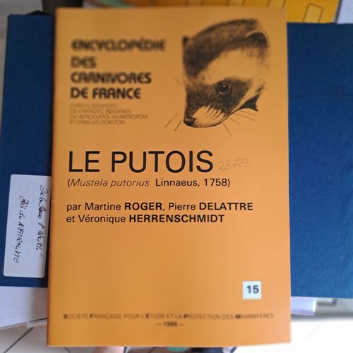 Encyclopédie Des Carnivores De France. Le Putois.
