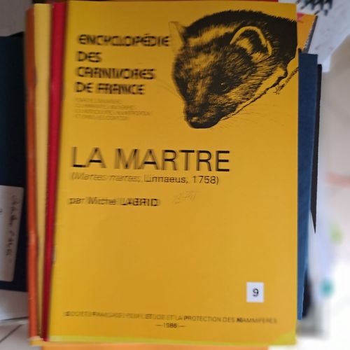 Encyclopédie Des Carnivores De France. La Martre.
